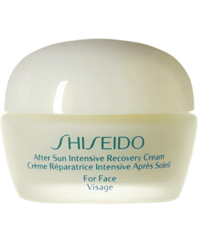 En riktigt bra kräm från Shiseido